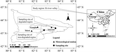 Do Extreme Climate Events Cause the Degradation of Malus sieversii Forests in China?